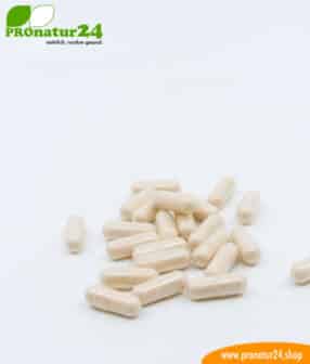 Lactoferrin, 250 mg, diätetisches Lebensmittel