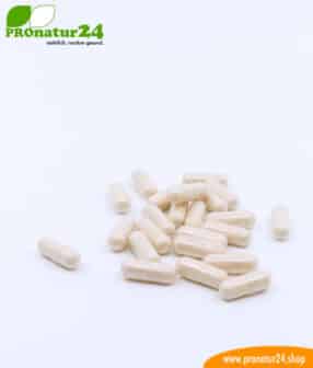 Lactoferrin, 120 mg, diätetisches Lebensmittel