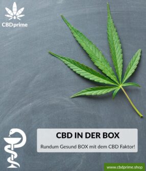 Rundum-Gesund BOX mit CBD Faktor. Exklusiv bei CBDprime!
