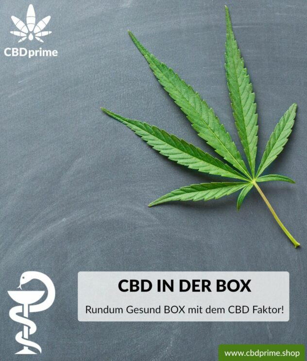 Rundum-Gesund BOX mit CBD Faktor. Exklusiv bei CBDprime!