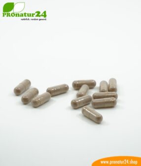 OPC Traubenkernextrakt hochdosiert mit jeweils 250 mg OPC, 90 vegetarische Kapseln