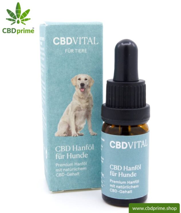 CBD Hanföl für Hunde | Unterstützende Wirkung für deinen Hund mit 4,2 % CBD Anteil | Premium Hanföl mit natürlichem CBD-Gehalt von CBD VITAL