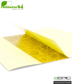 ALLEVI8 PRO Energiepflaster | Neuste Tape Technologie mit 15 Stück pro Packung | +1 Stück als Geschenk zum Kennenlernen pro Bestellung | ORIGINAL Relief Strips vom Erfinder Dr. Kim, Korea / B-EPIC 20 ALLEVI8 PRO Energiepflaster | Neuste Tape Technologie mit 15 Stück pro Packung | +1 Stück als Geschenk zum Kennenlernen pro Bestellung | ORIGINAL Relief Strips vom Erfinder Dr. Kim, Korea / B-EPIC